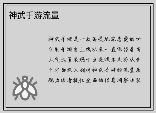 神武手游流量